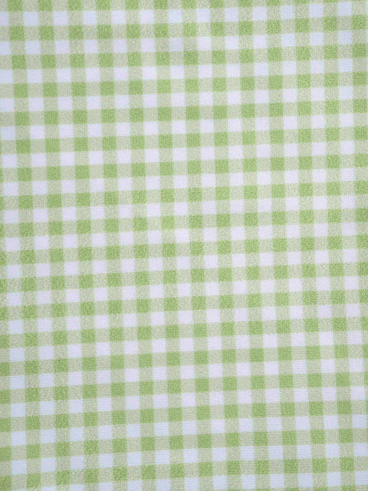 Blue Plaid Ruffle Tankini Set - Image 6