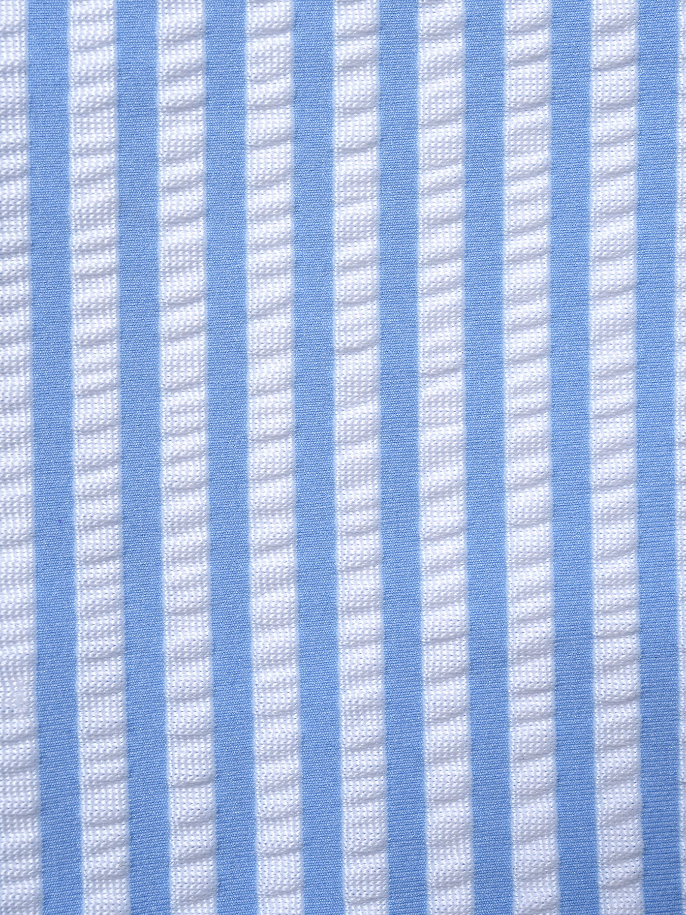Blue Striped Contrast Bikini Set - Image 4